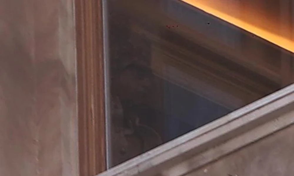 katrina vicky wedding