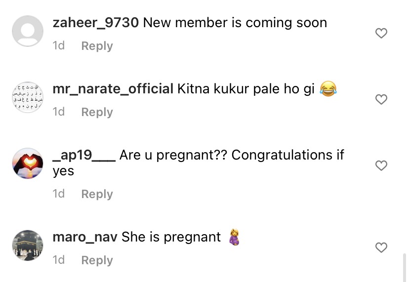 Natasa Hardik pregnancy rumours