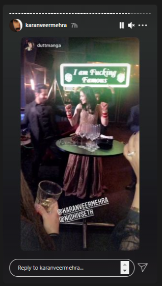 Karanveer Mehra Nidhi Seth Wedding