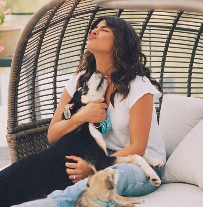 Priyanka Chopra Jonas