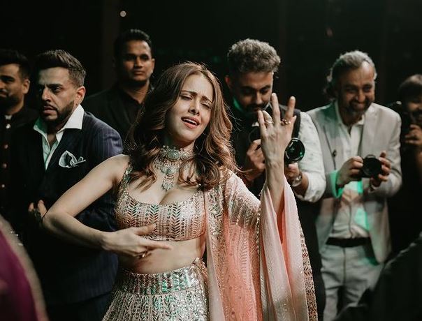 Honey Singh's sister, Sneha's wedding reception