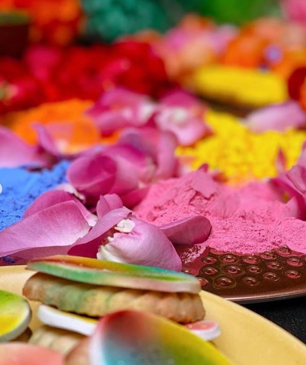 Priyanka Chopra Holi Party