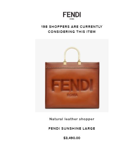 Deepika Padukone Fendi Bag Cost