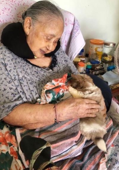 adhyayan suman grandmother