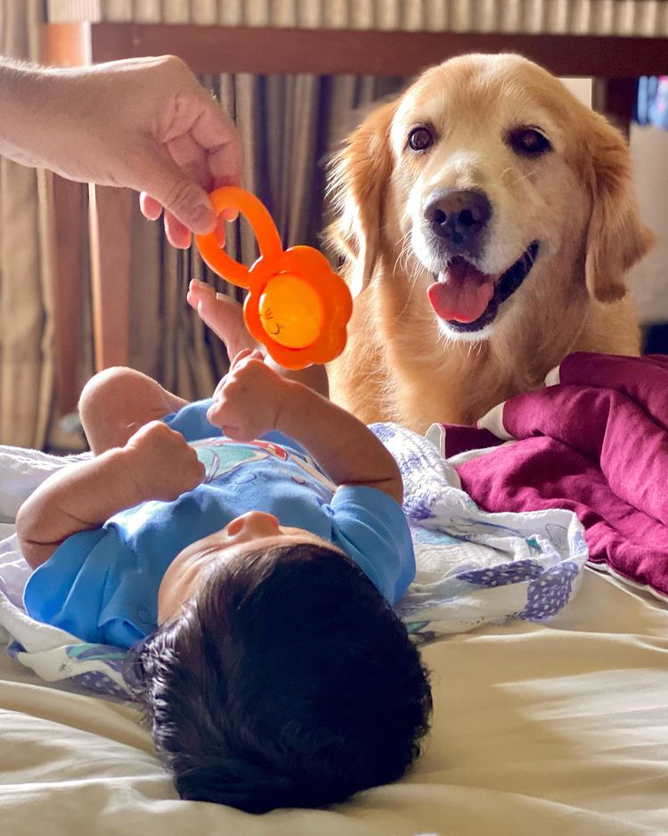 Shreya ghoshal's post