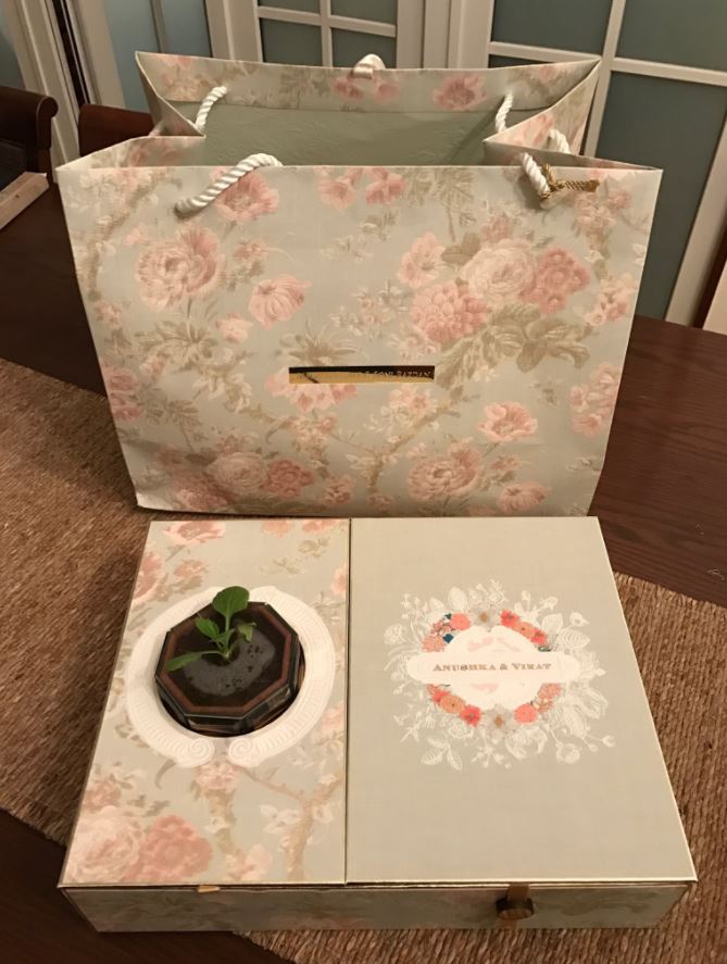 Anushka Sharma and Virat Kohli Wedding invitation