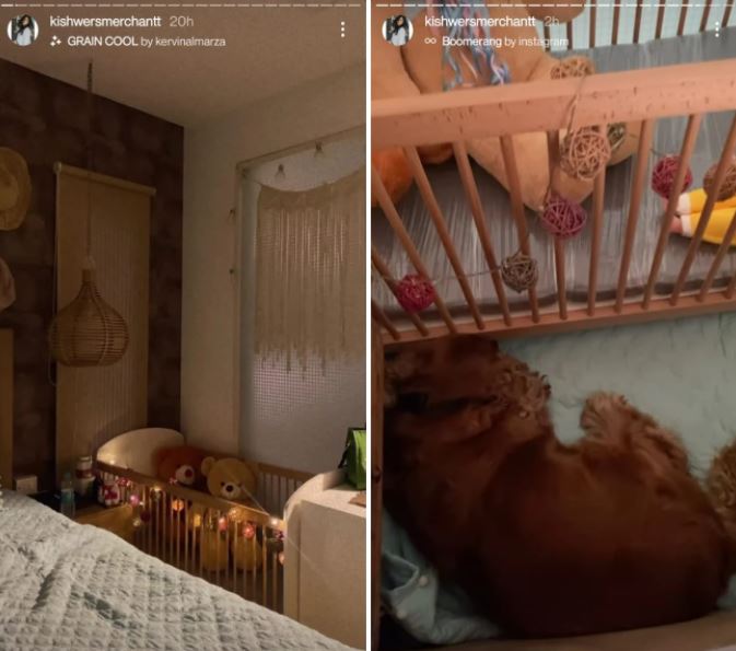 Kishwer Merchantt Suyyash Rai