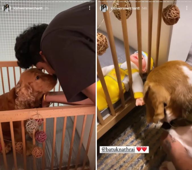 Kishwer Merchantt Suyyash Rai