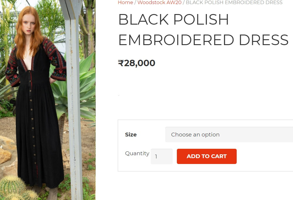 Anushka dress details