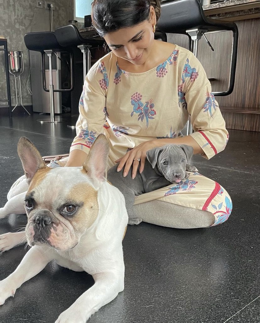 Samantha Akkineni Pets