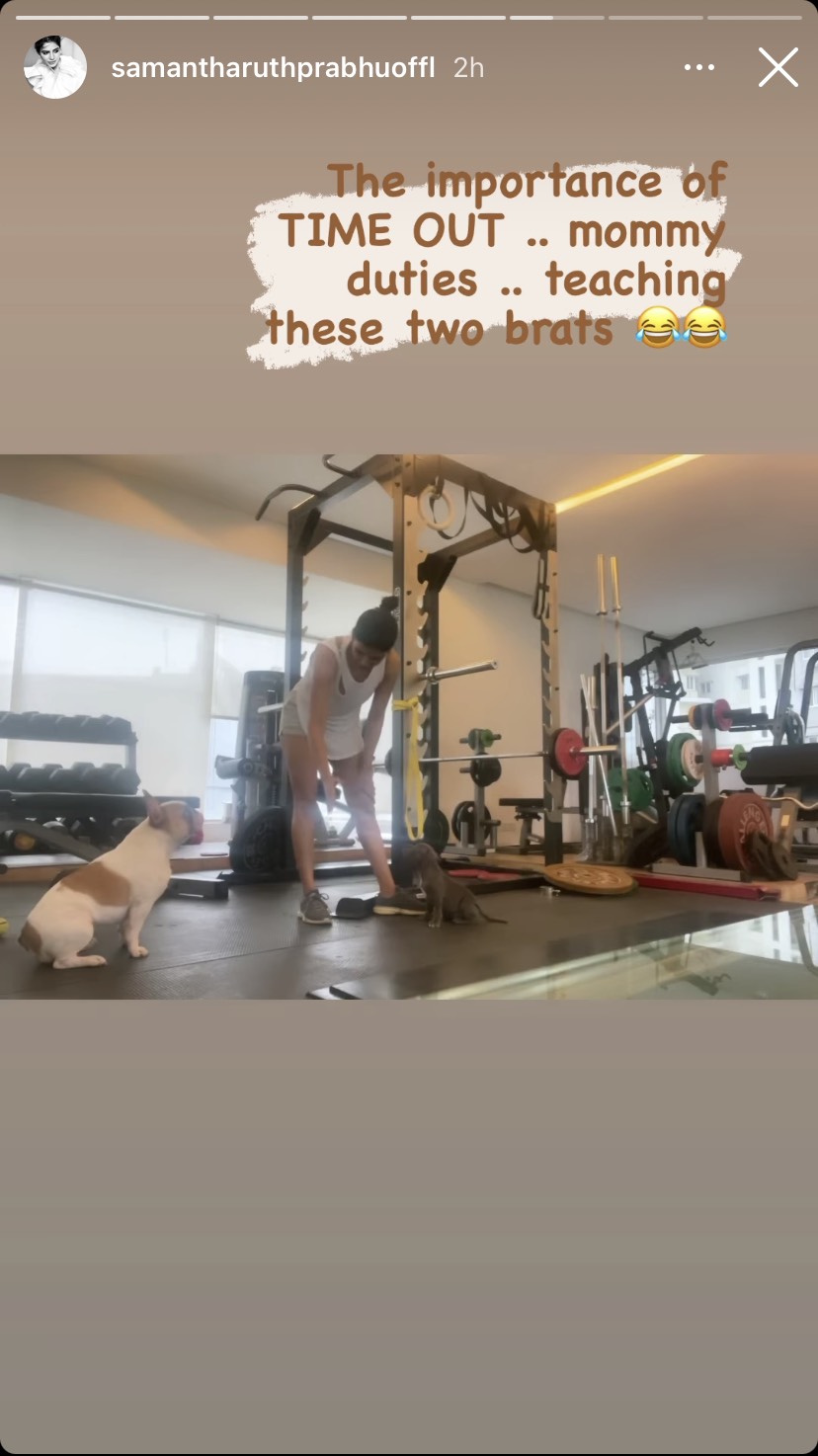 Samantha Akkineni Pets