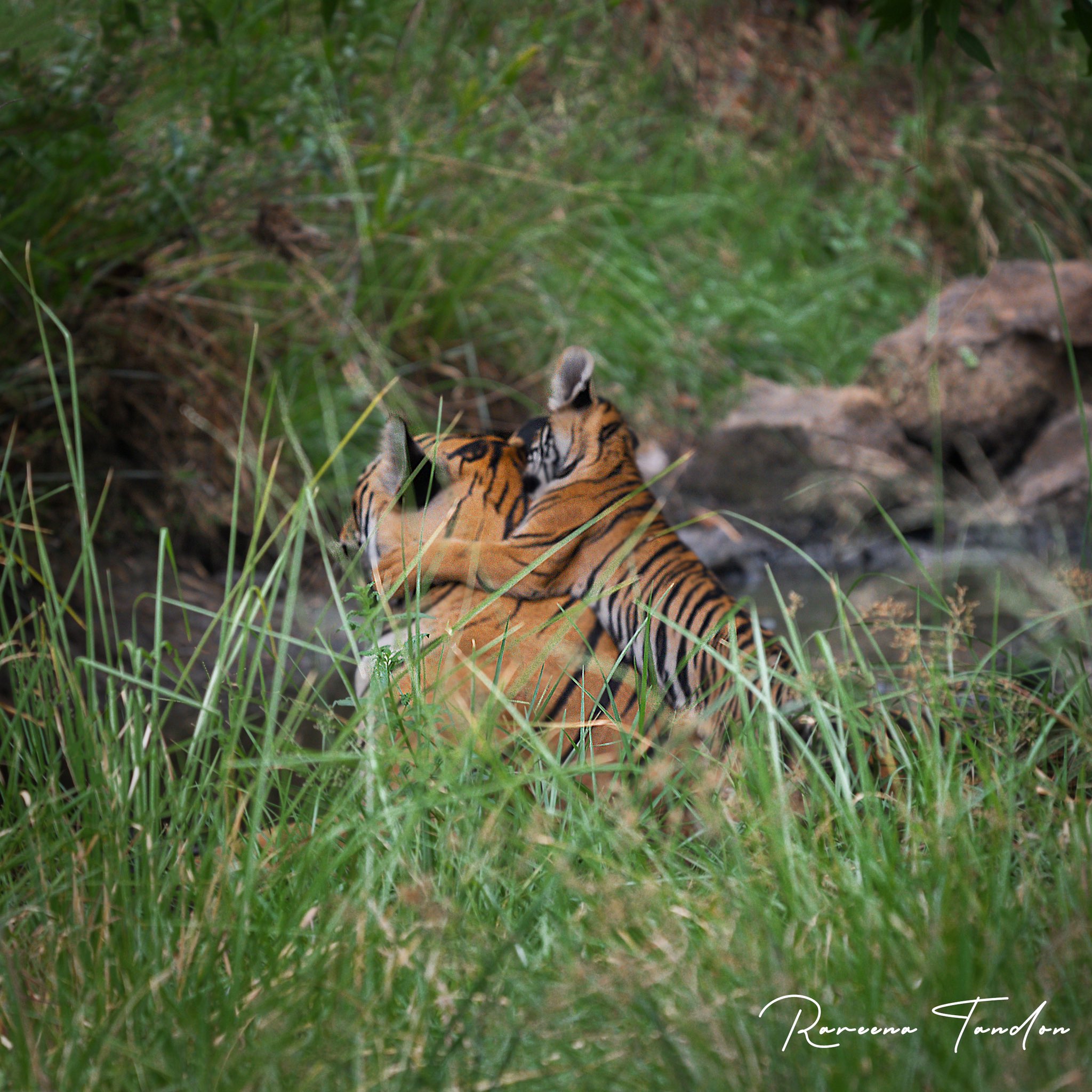 raveena's photography