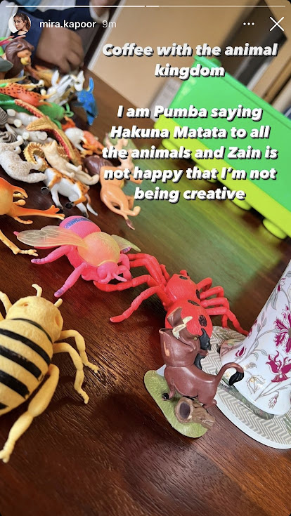 Mira Rajput Zain Kapoor