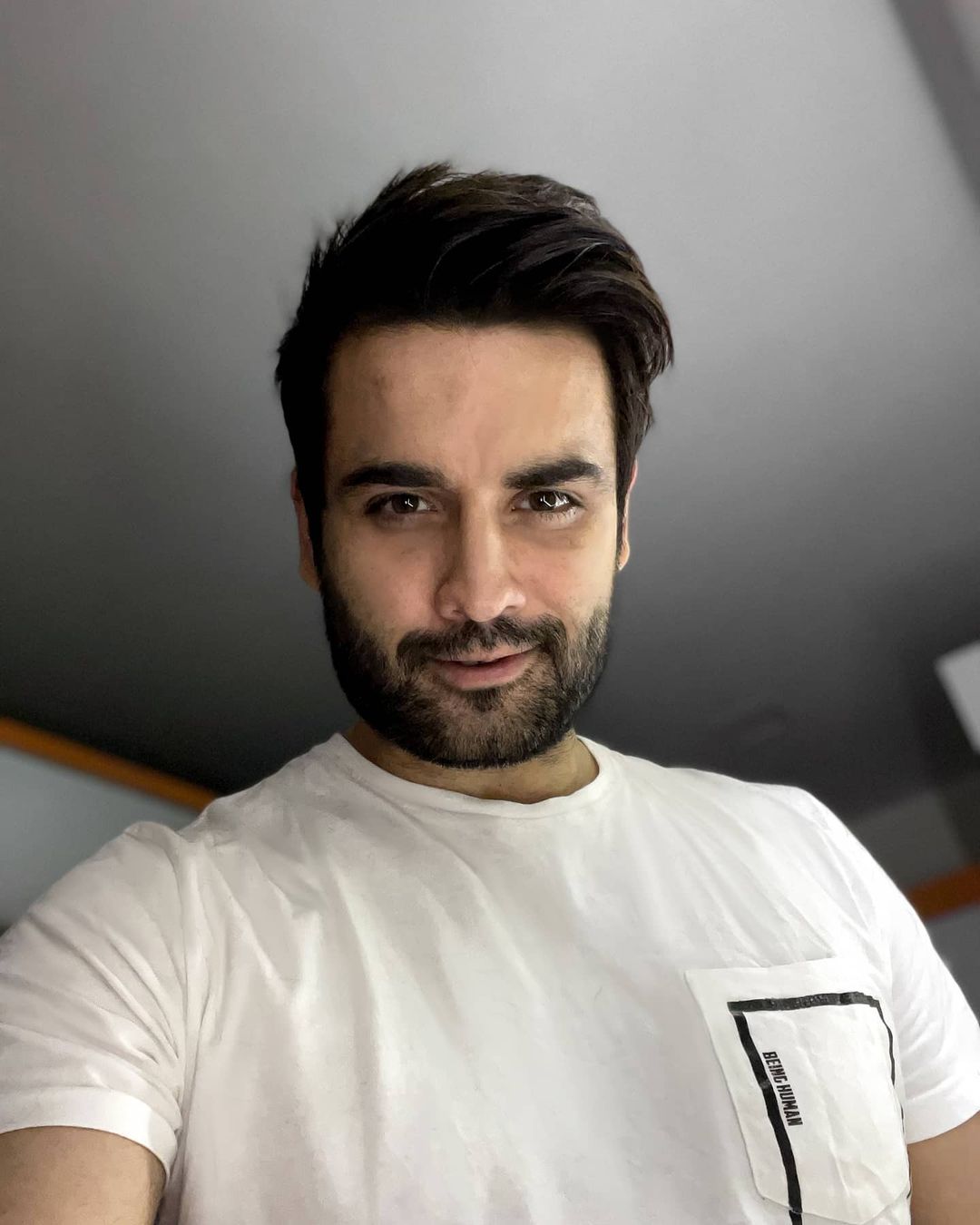 vivian dsena