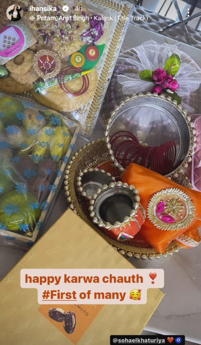 hansika motwani first sargi