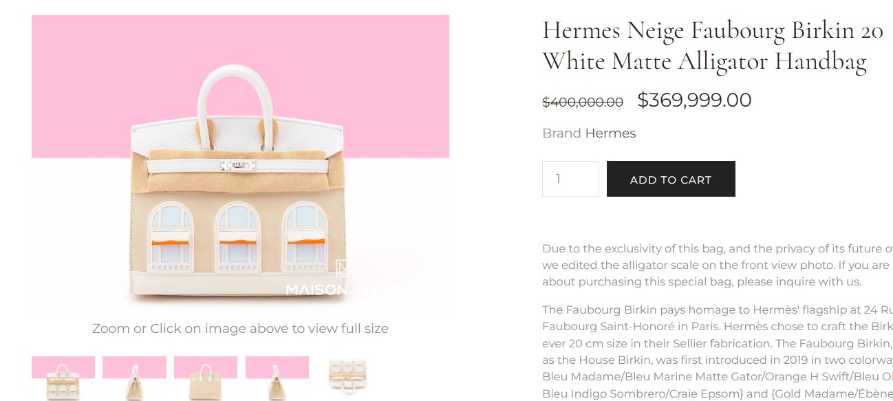 Hermes Neige Faubourg House Birkin 20 White Matte Alligator Handbag