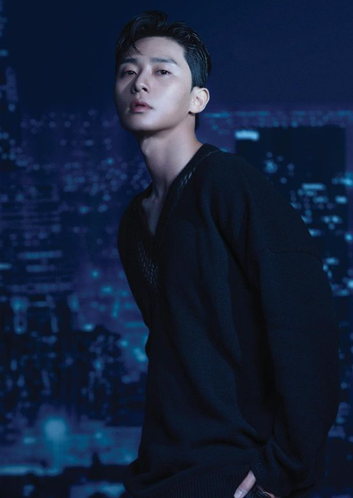 Park Seo Joon