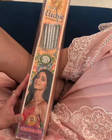 Ananya Panday, Chunky Panday, Alanna Panday, Ivor, River, Bhavana Panday, Chikki Panday, Diwali Vlog