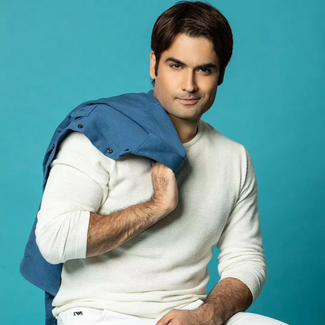 vivian dsena