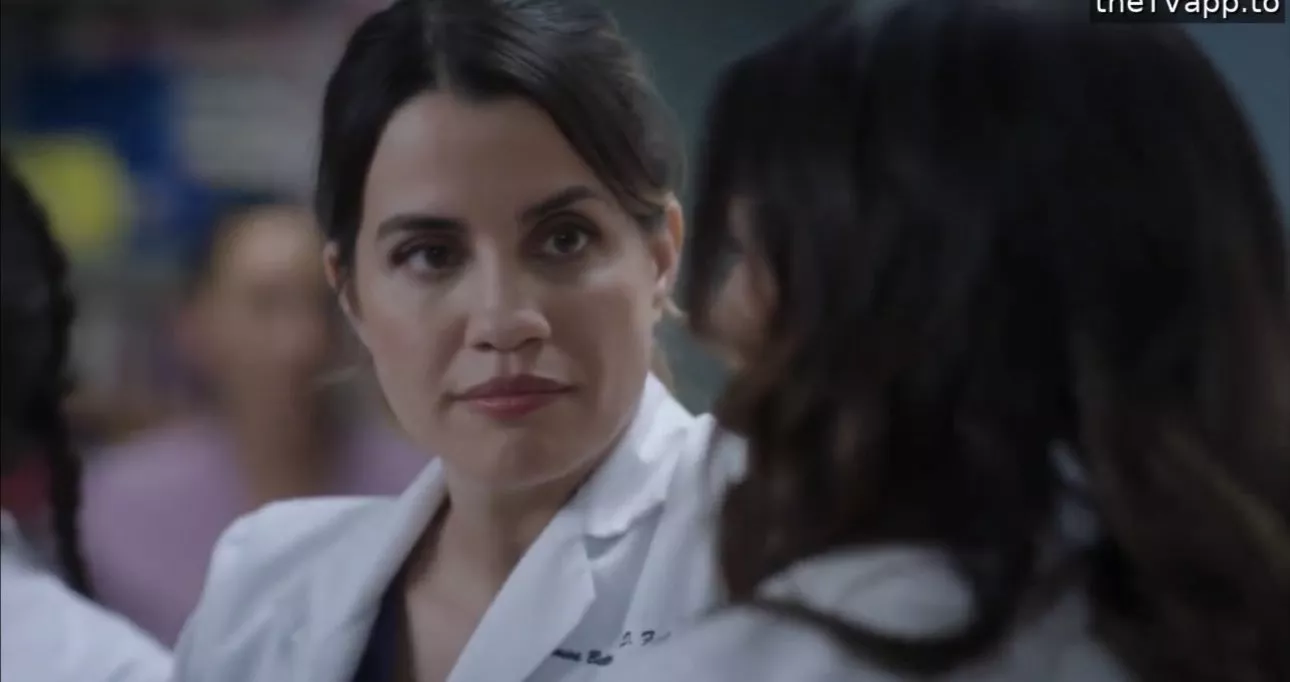 Grey's Anatomy Season 22, Grey's Anatomy Season 22 Explosion, Monica Beltran, Natalie Morales