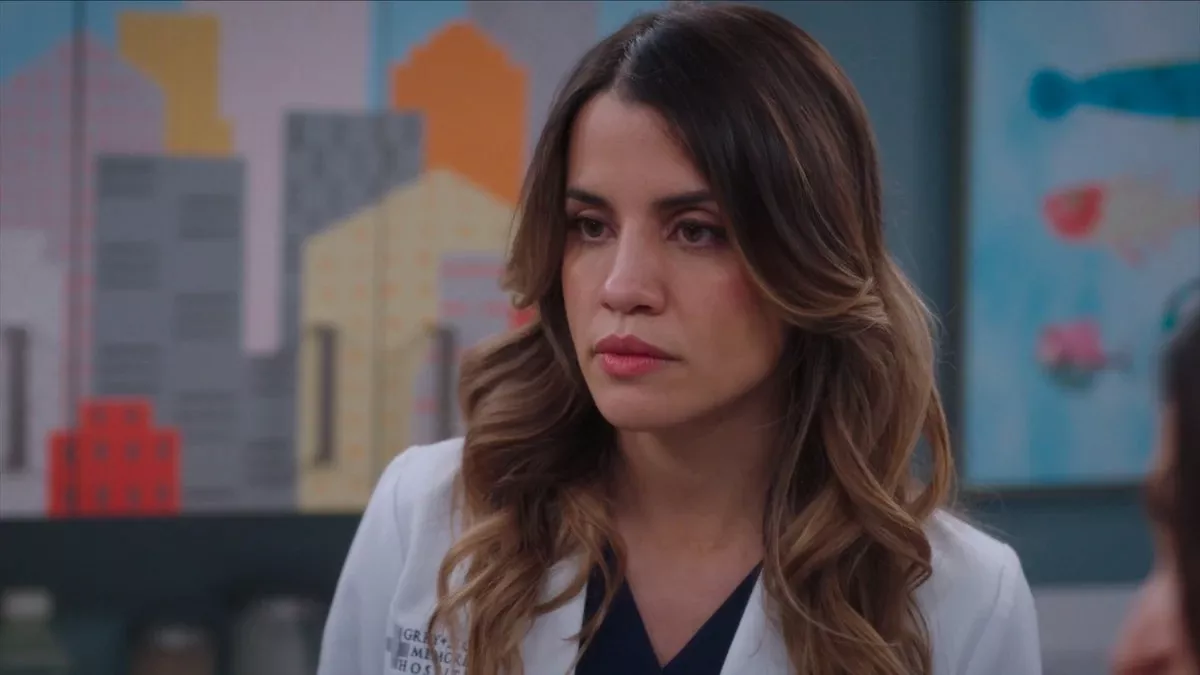 Grey's Anatomy Season 22, Grey's Anatomy Season 22 Explosion, Monica Beltran, Natalie Morales