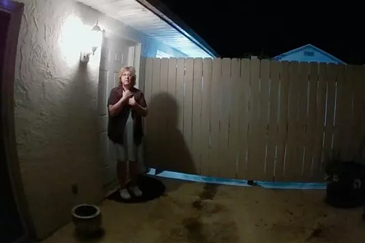 the-perfect-neighbor