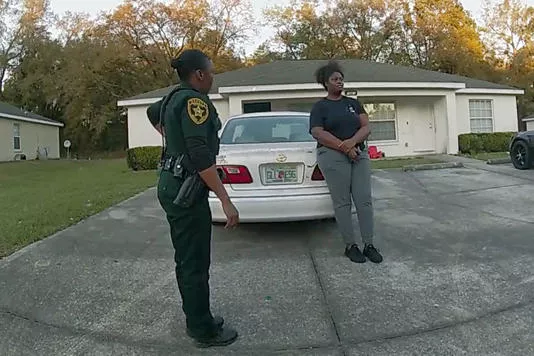 the-perfect-neighbor