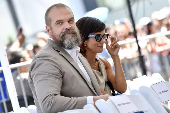 How Did Lily Allen Find Out About Her Husband, David Harbour's Alleged Affair? Here's What We Know  7
