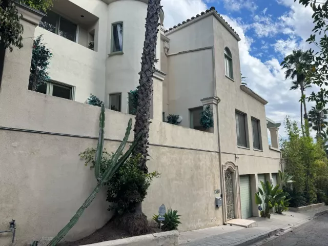 celeste-rivas-case-update