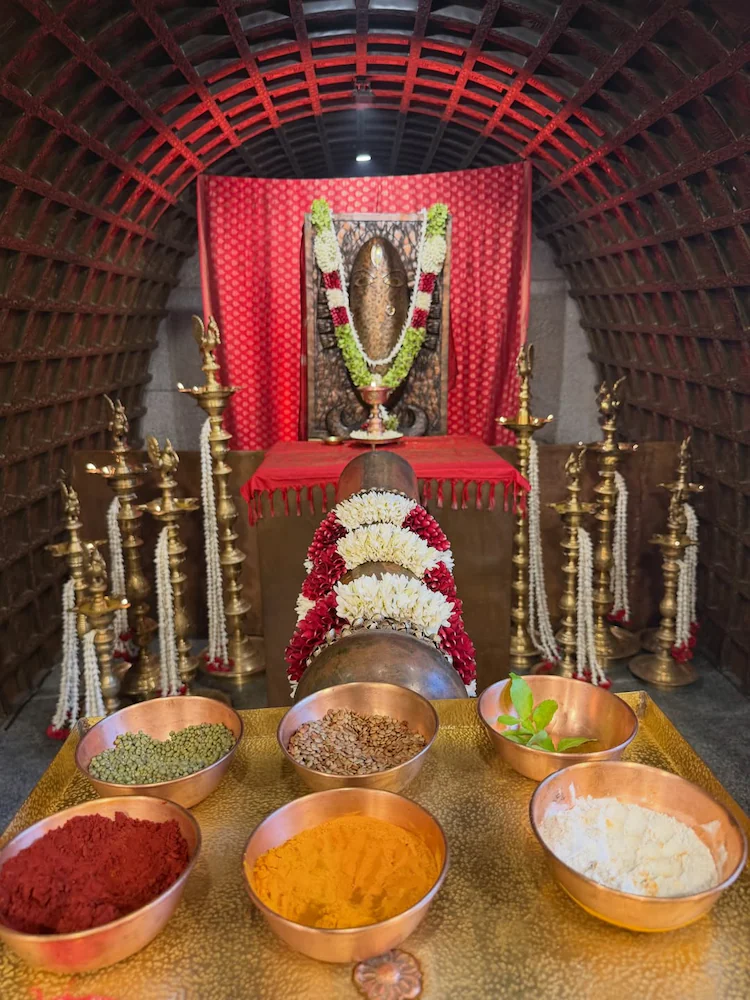 bhuta-shuddhi-vivaha