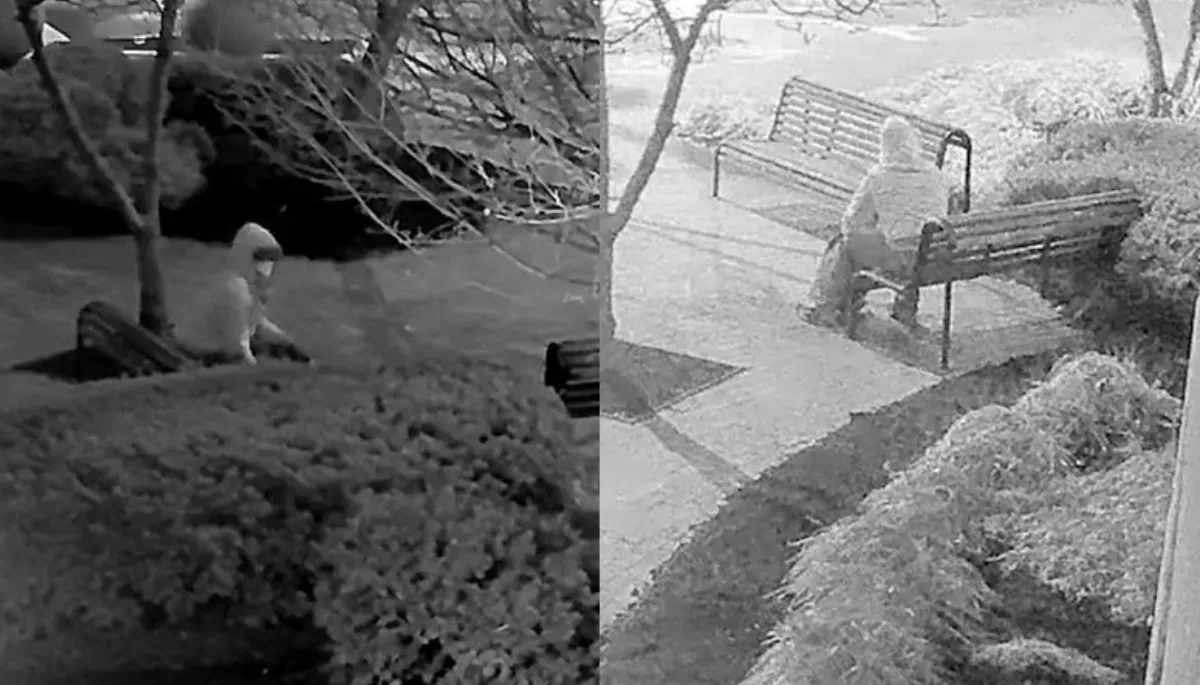 Who is Brian Cole Jr, and why were Federal prosecutors arrested him? Investigators reveal the evidence that led to his arrest in the 