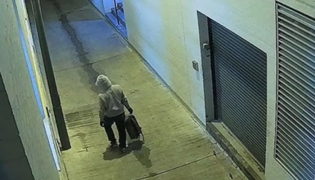 Why the investigators struggled for nearly five years to arrest Brian Cole Jr in the 