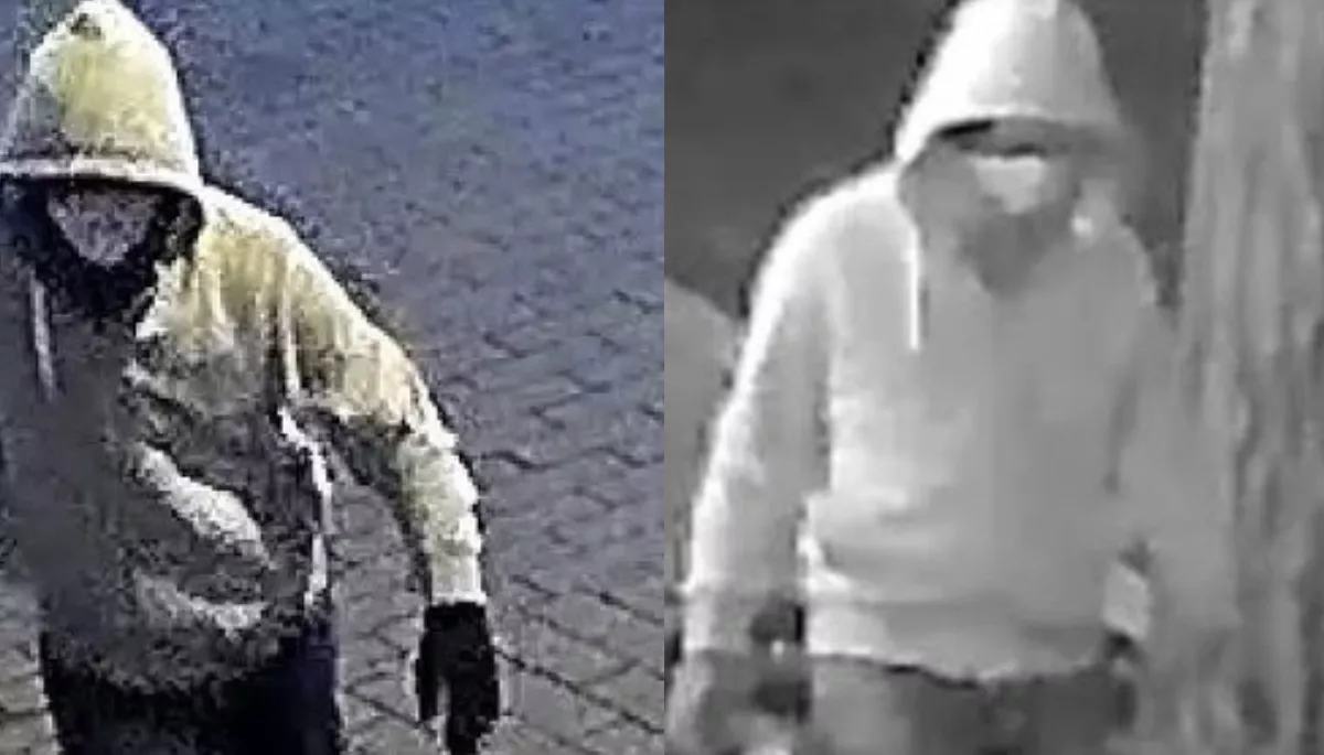 The arrest of Brian Cole Jr in the 