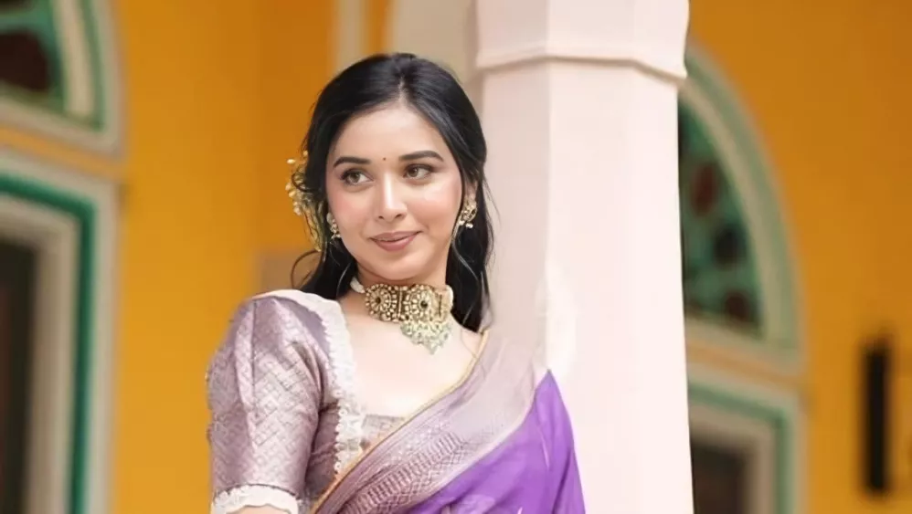 Bigg Boss 19, Amaal Mallik, And Tanya Mittal Are Out Of the Finale Race. Here's Their Exact Salary For The Show 3