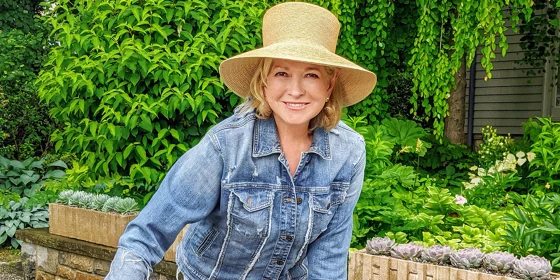 martha-stewart