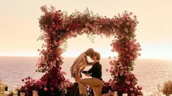 Hailee Steinfeld engagement