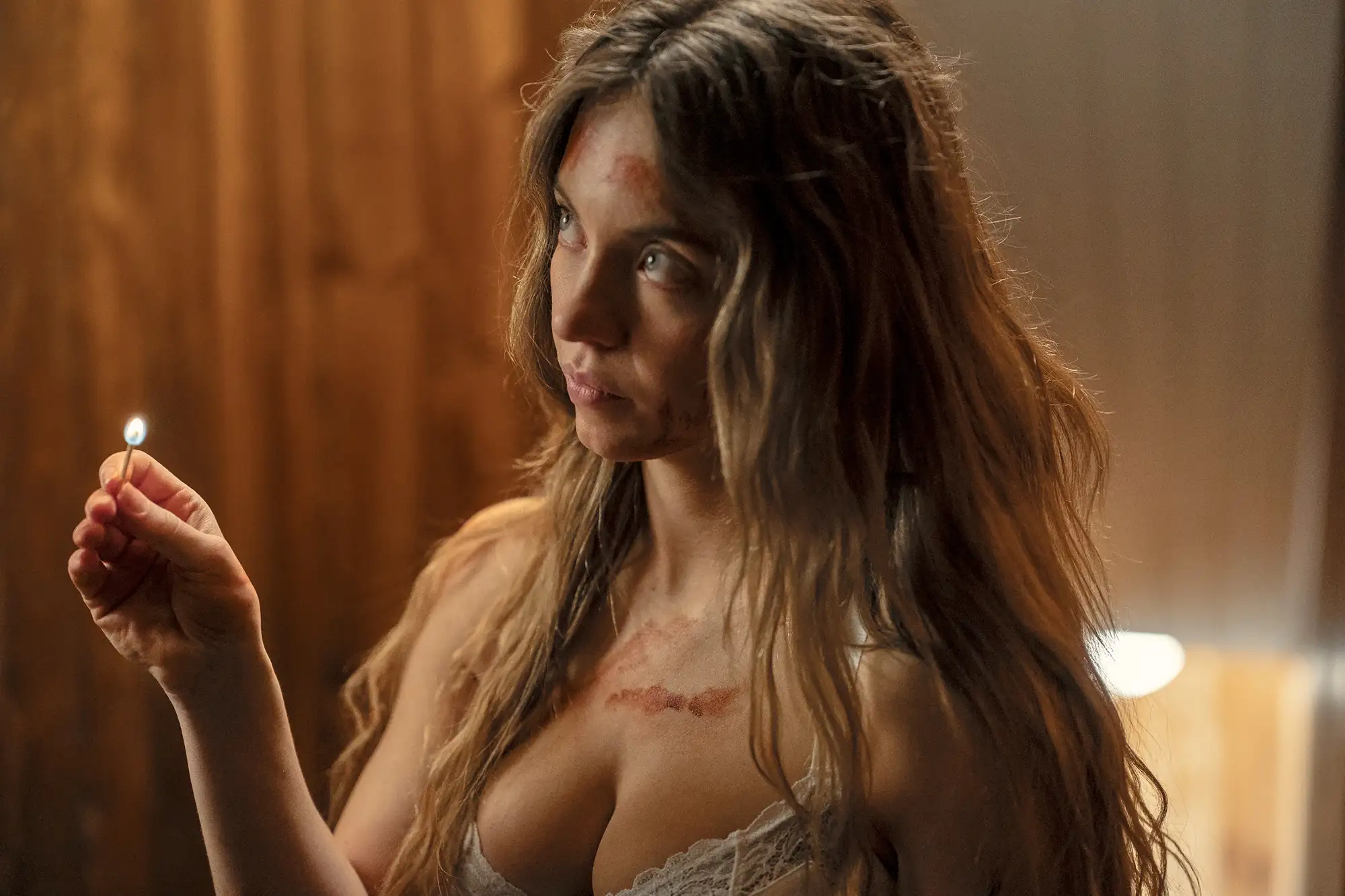 the-housemaid-book-vs-film