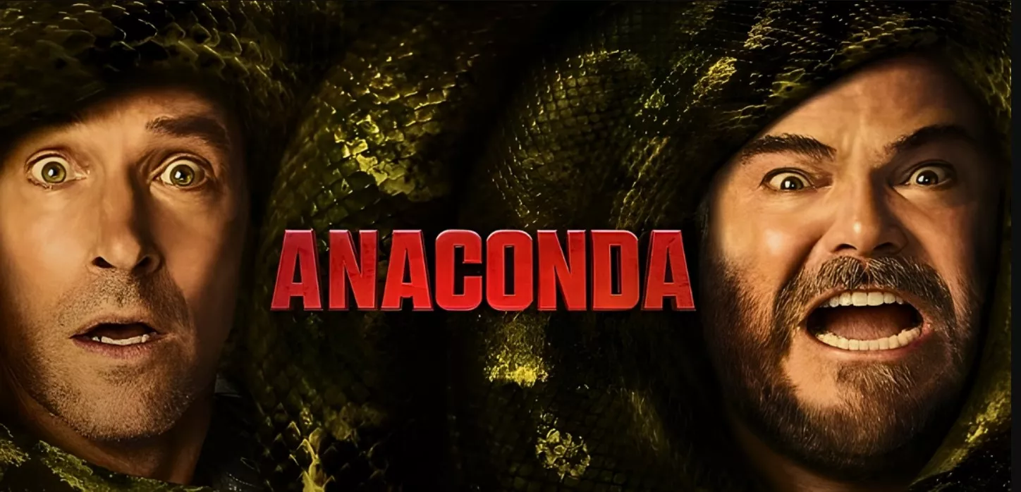 anaconda