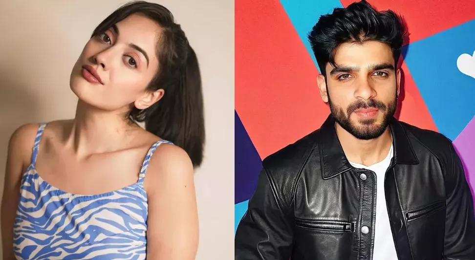 Aditi Sharma and Abhineet Kaushik's marriage story: Secret marriage, filed for divorce after four months, accused of infidelity