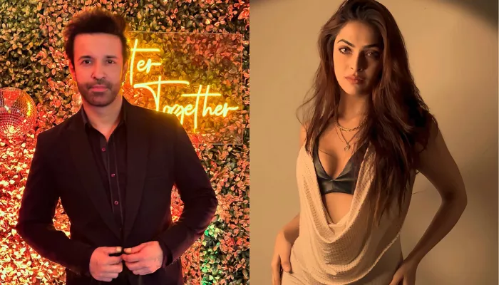 Aamir Ali talks about being in love again after divorce from his ex-wife, Sanjeeda Sheikh