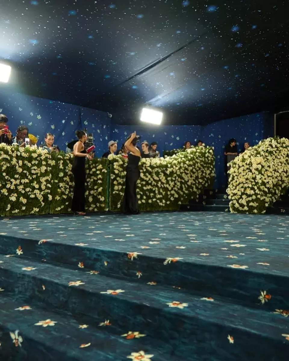 Met Gala Carpet 2025