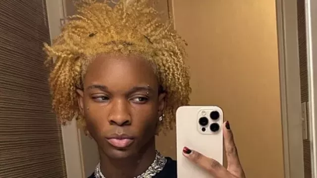 Celeste Rivas Hernandez, D4vd, D4vd Case