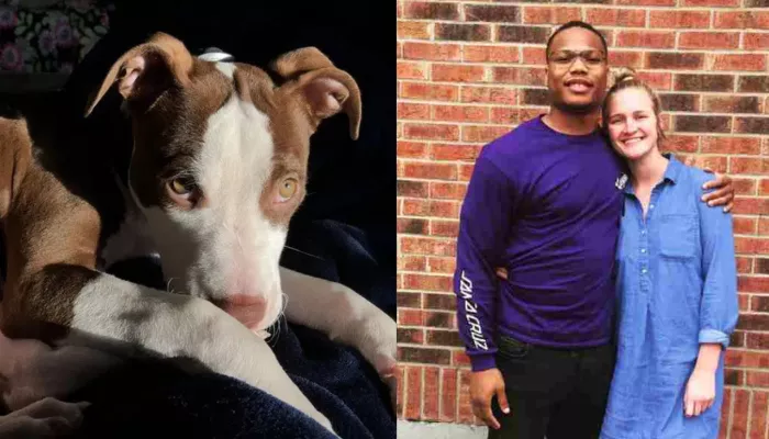 David Montgomery and Tatum Causey faced a civil lawsuit after their pit bull named Lola allegedly attacked a cockapoo mix, which later died