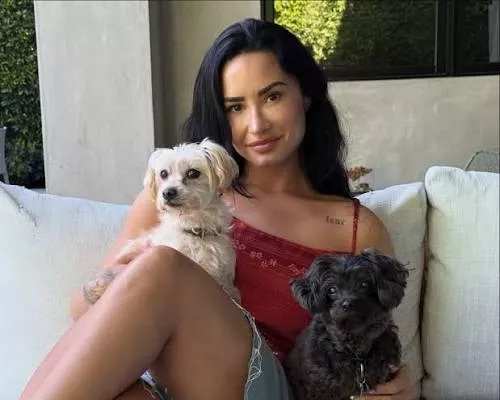 demi