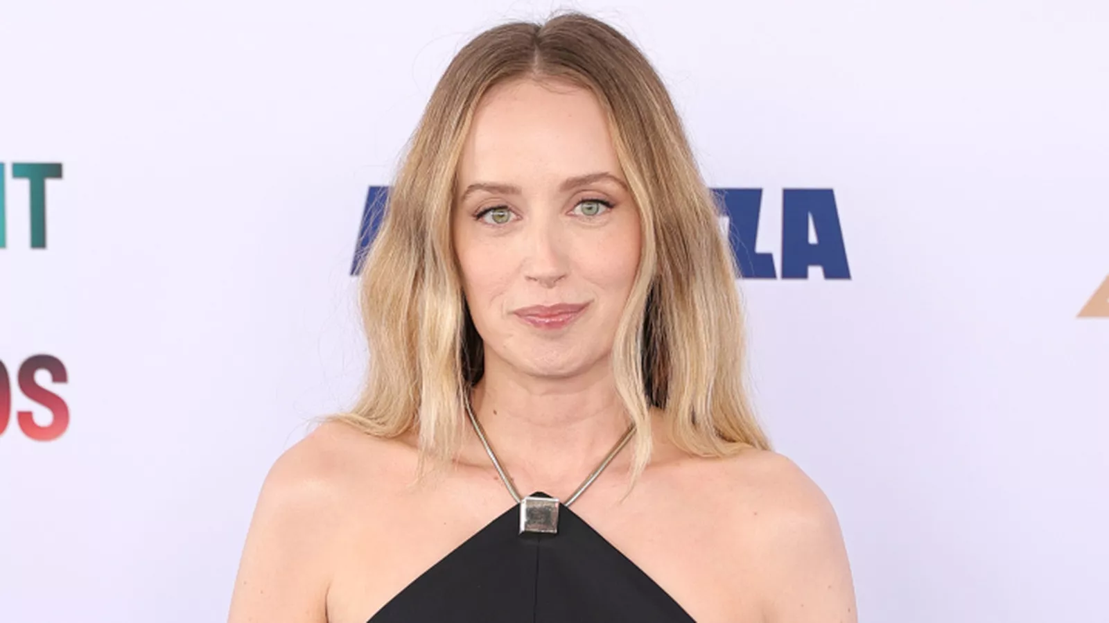 Why Is Tyler Hilton Getting Divorced? All About The Cause Of Split And His Wife, Megan Park 4