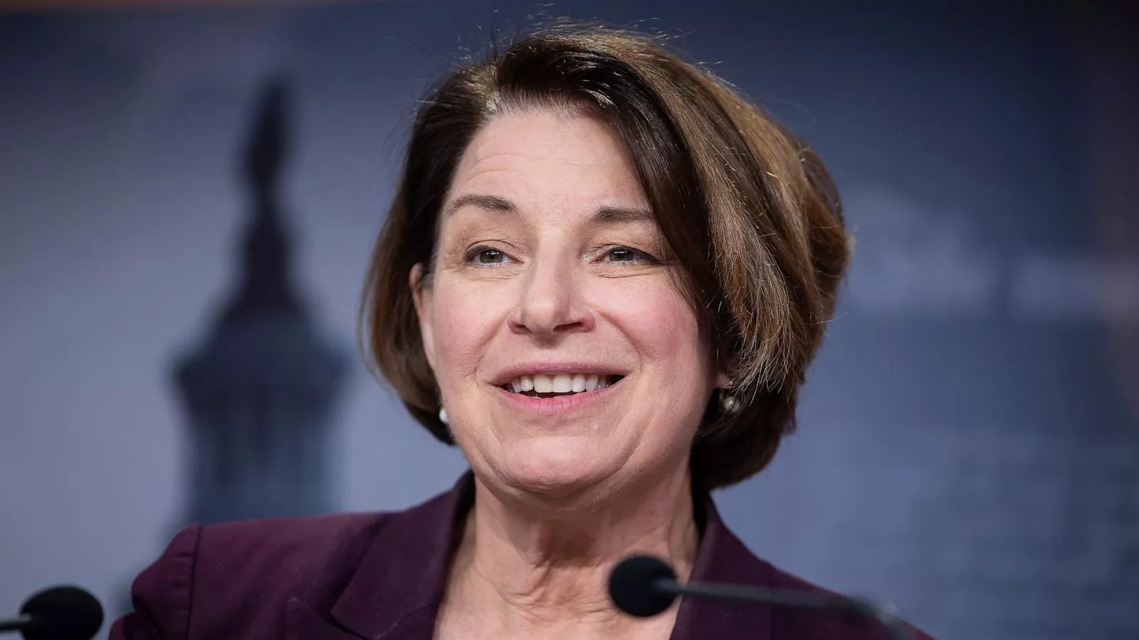 Who Is Amy Klobuchar's Husband, John Bessler? All About Him Amid Her Bid For Minnesota Governor 4