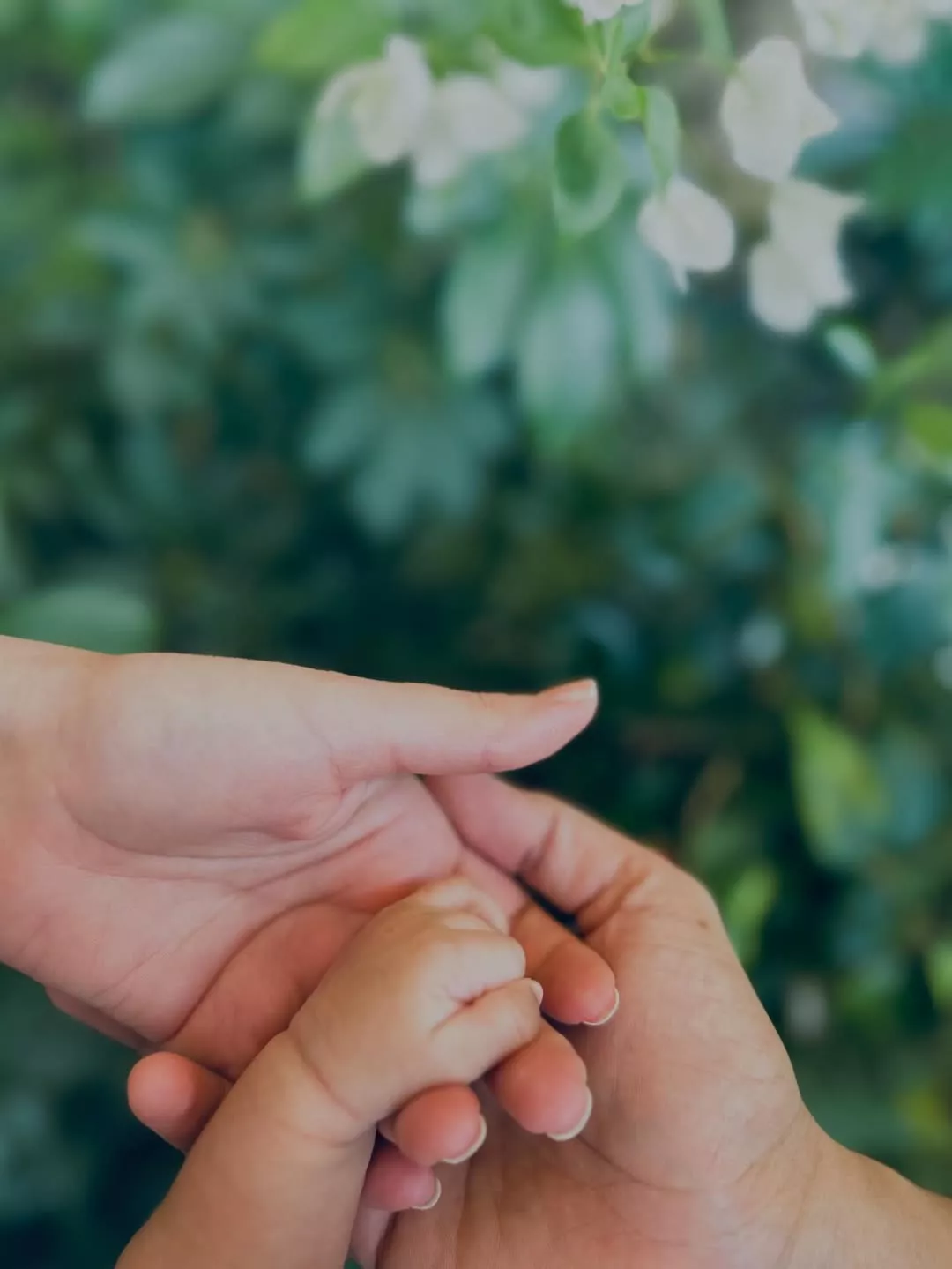 Katrina Vicky Baby Boy Name Vihaan