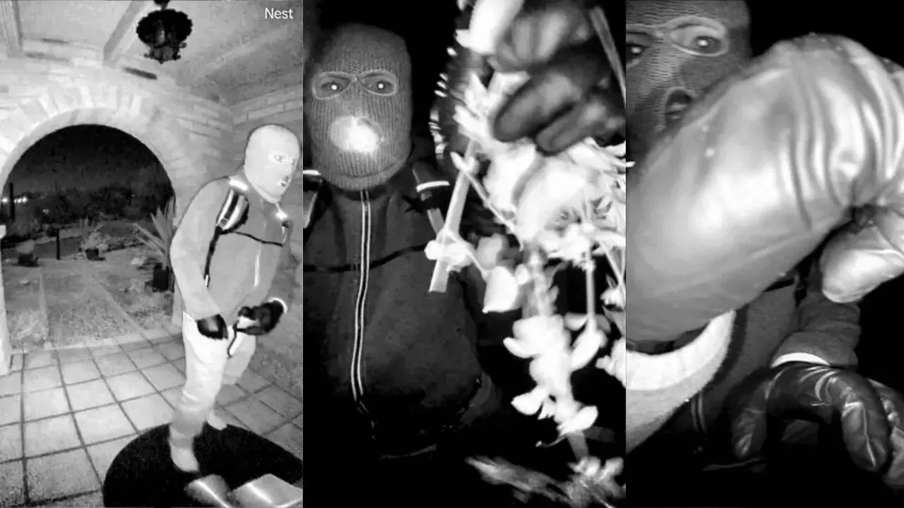 nancy-guthrie-investigation