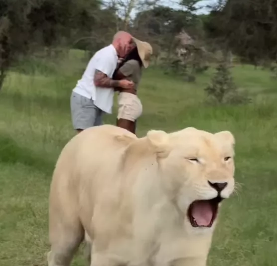 एश्ली-जो