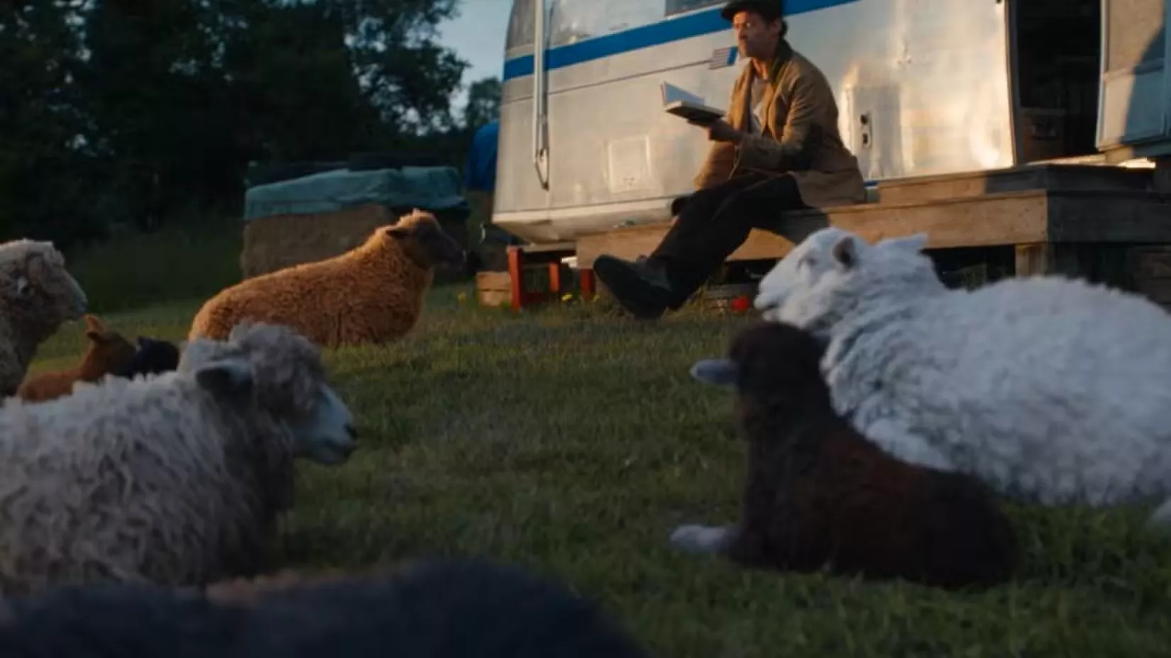 the-sheep-detectives